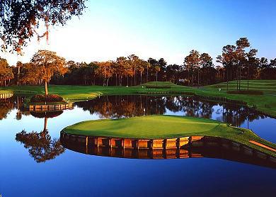 TPC Sawgrass Amateur Tournament Information Page US Am Tour