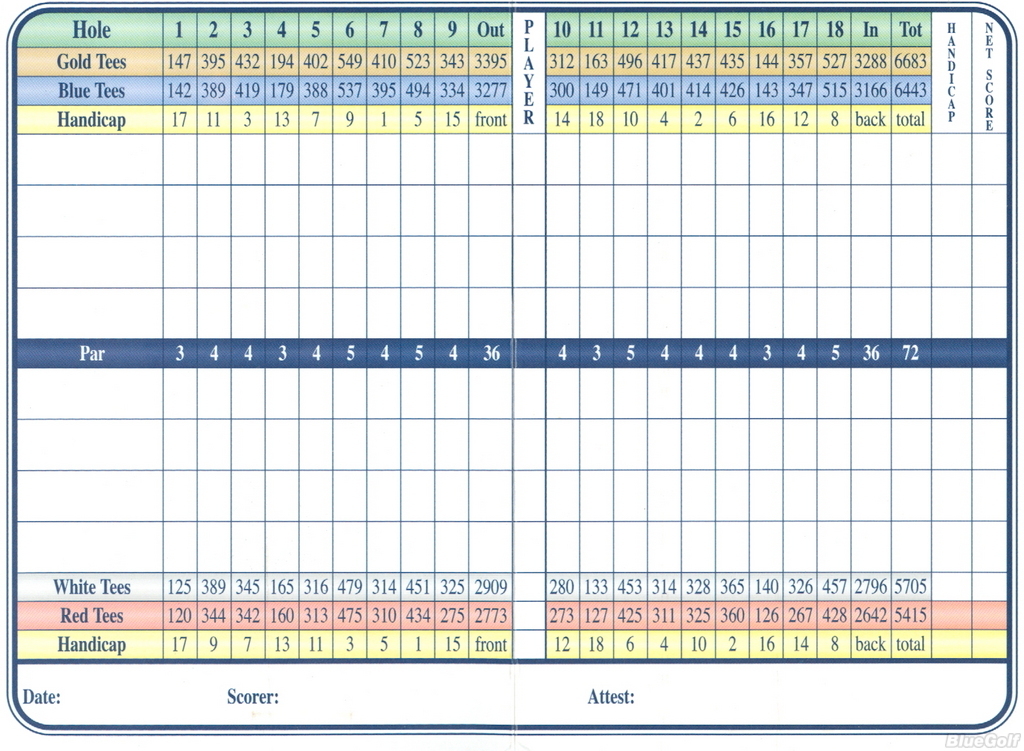 Actual Scorecard for Blue Shamrock Golf Club