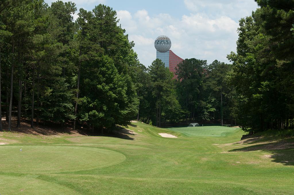 Mississippi Open Dancing Rabbit Division Leaderboard Amateur