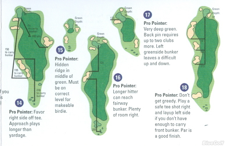 Treetops Resort Tradition Course Profile Course Database