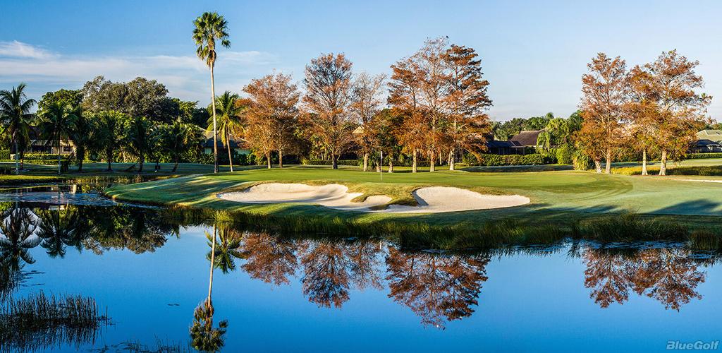 Junior Honda Classic Fazio Course Boys 1011 36 Holes Leaderboard